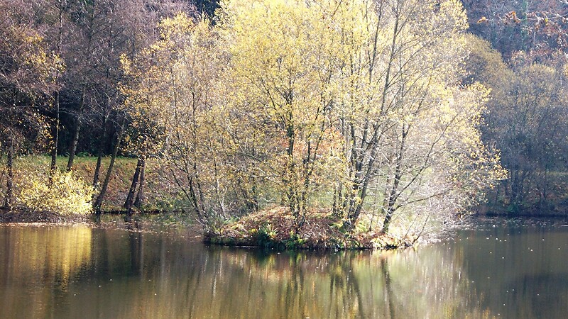 Térkép