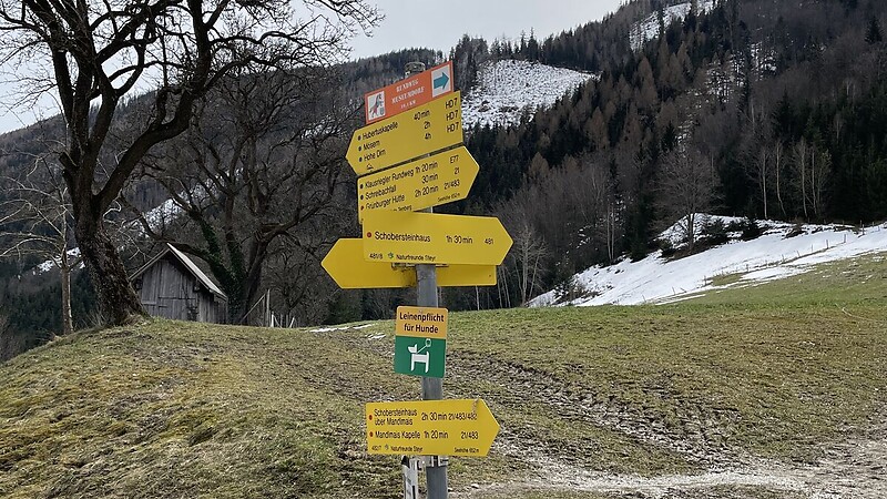 Térkép