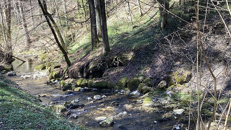 Térkép