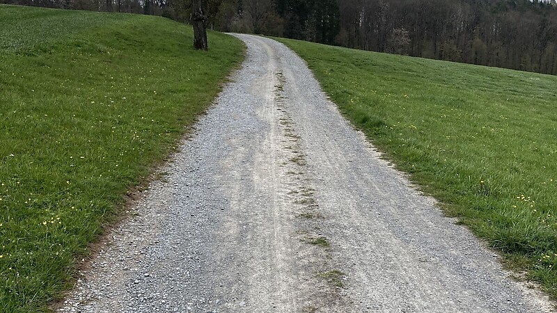 Térkép