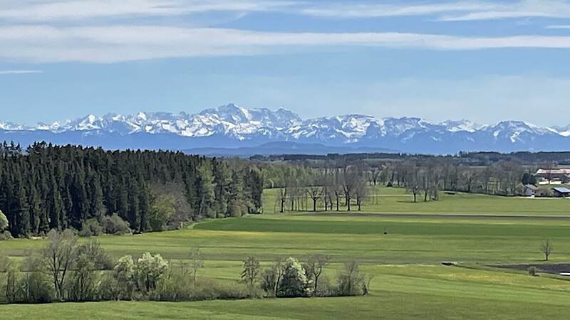 Térkép