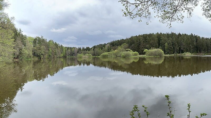 Térkép