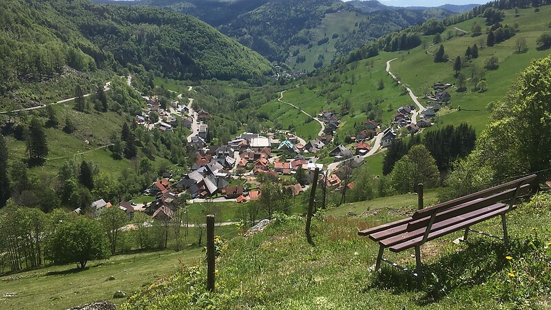 Térkép