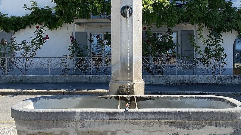 Térkép