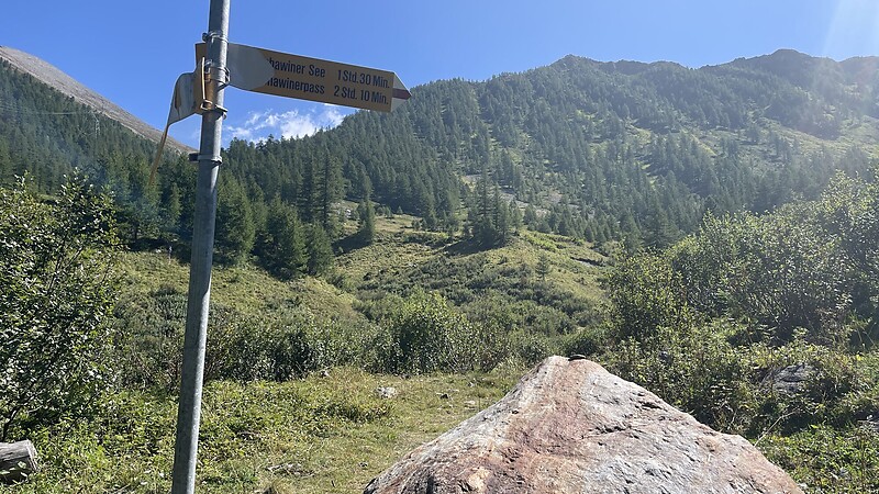 Térkép