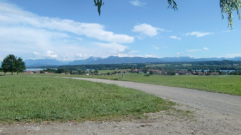 Térkép