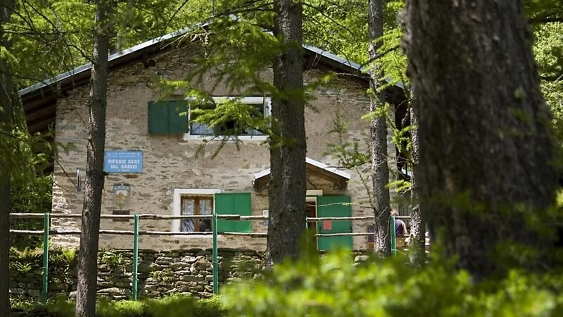 Térkép