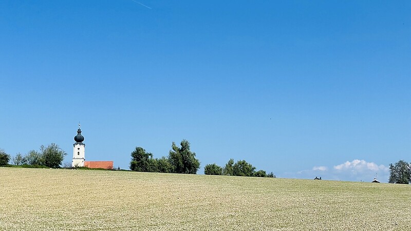 Térkép