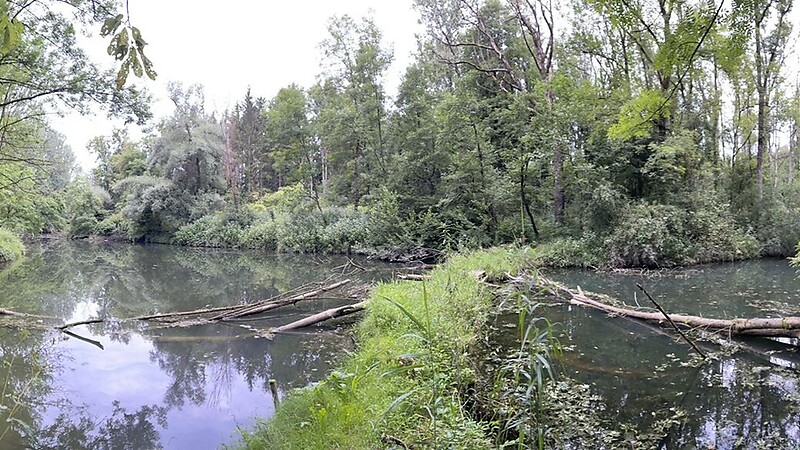 Térkép