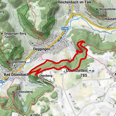 Lion trail "Ave-Weg" - A touch of pilgrimage on the Albtrauf