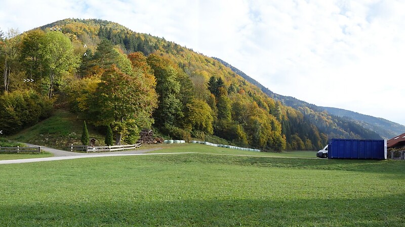 Térkép