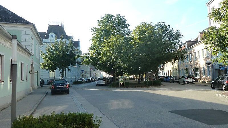 Térkép