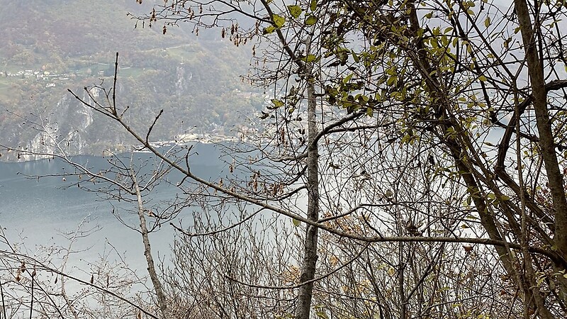 Térkép
