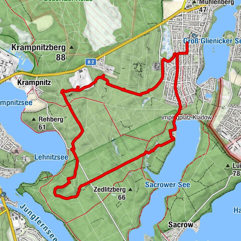 Königswald