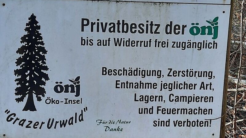 Térkép