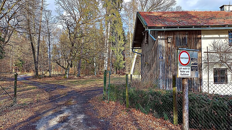 Térkép