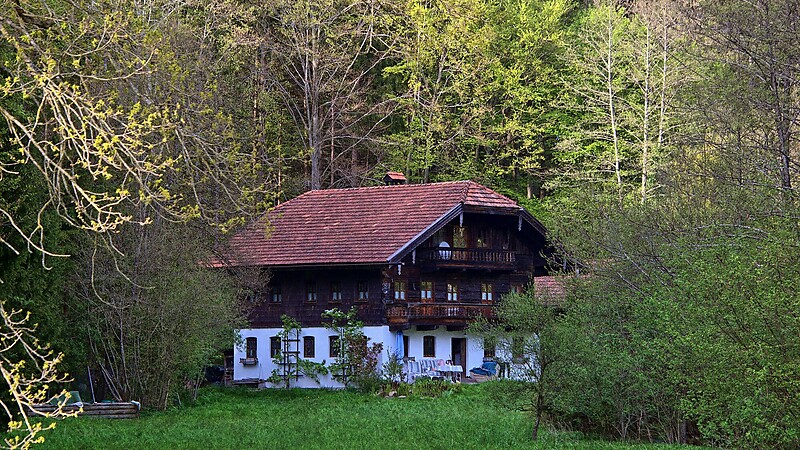 Térkép