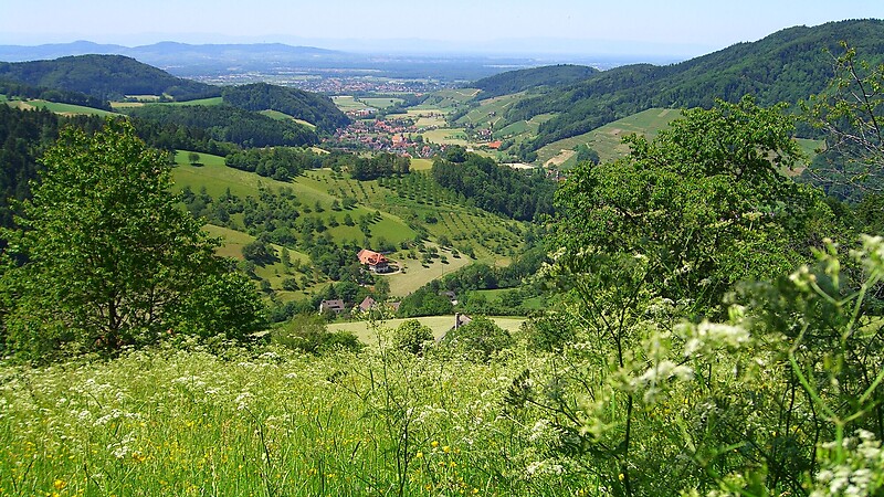 Térkép