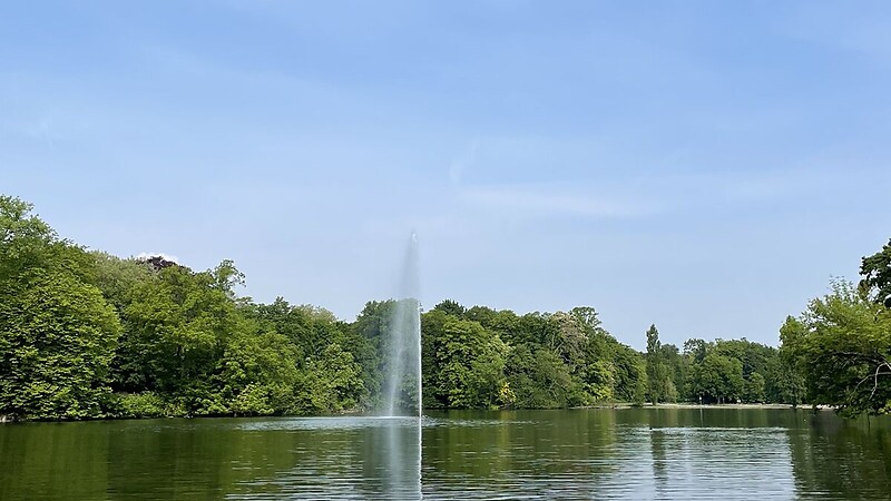 Térkép