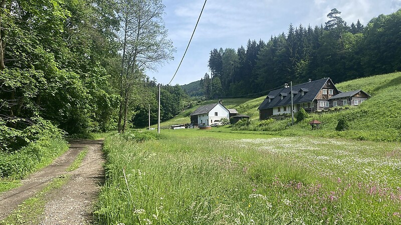 Térkép