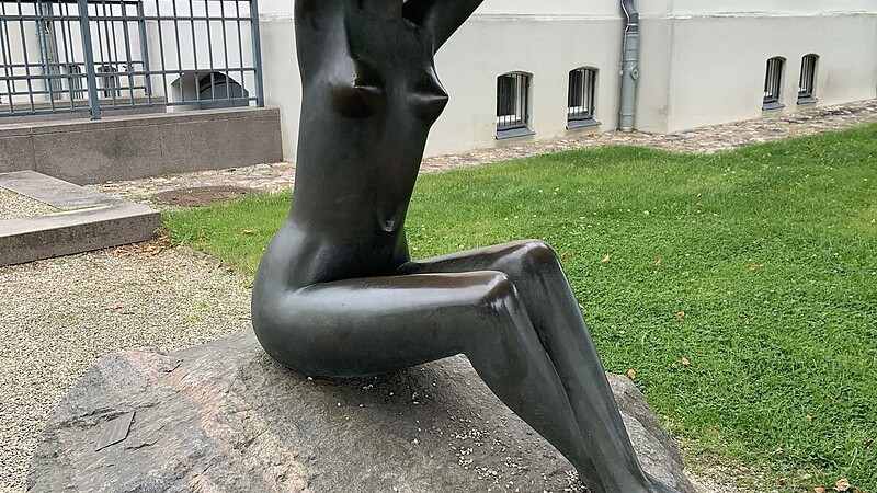 Térkép