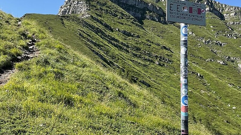 Térkép