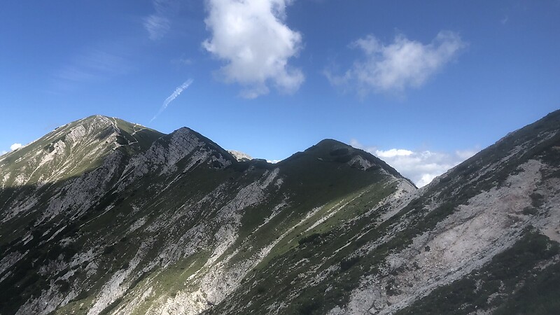 Térkép