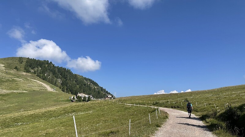 Térkép