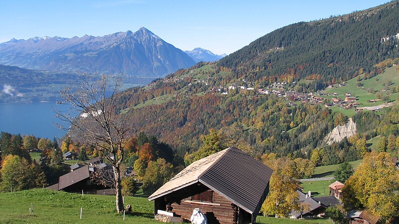 Térkép