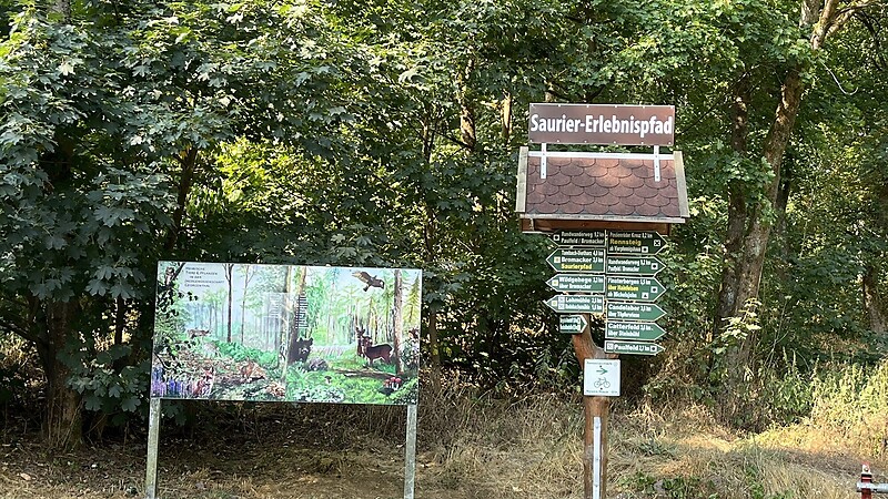 Térkép