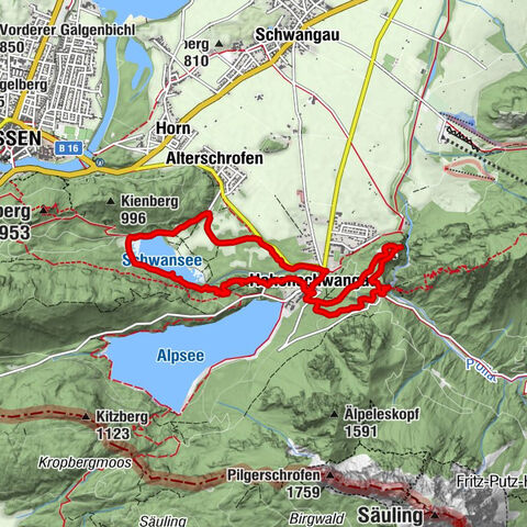 Schloß Neuschwanstein und Schwanensee Schwangau, Bayern