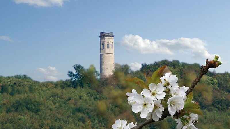 Térkép