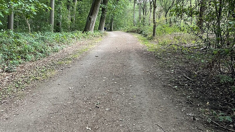 Térkép