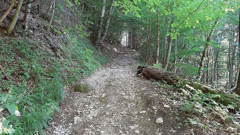 Térkép