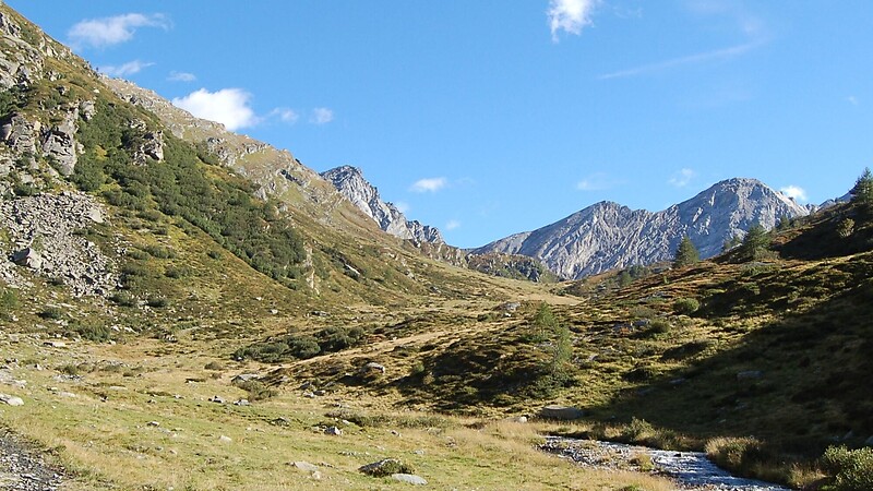 Térkép