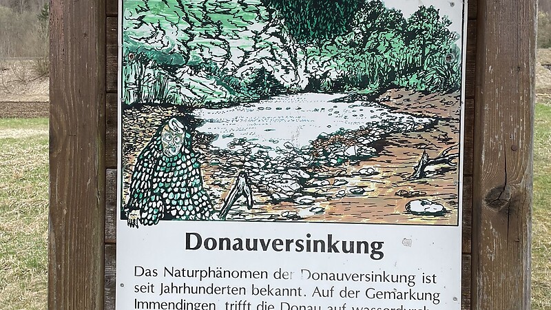 Térkép