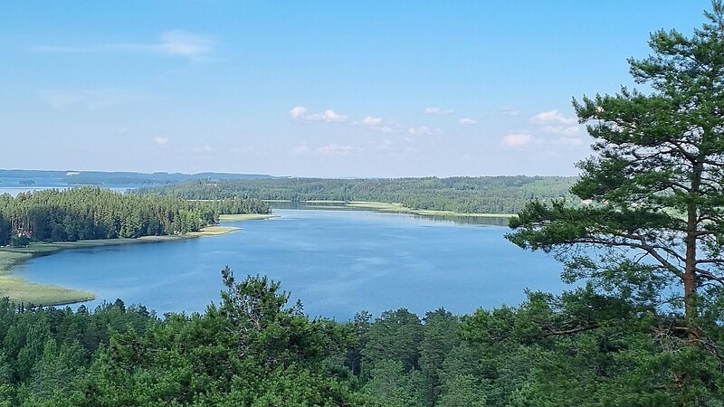 Térkép