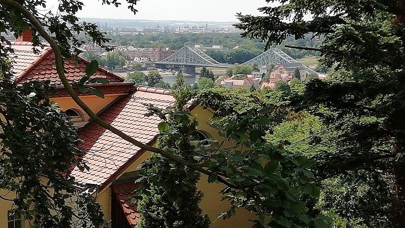 Térkép
