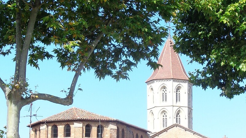 Térkép