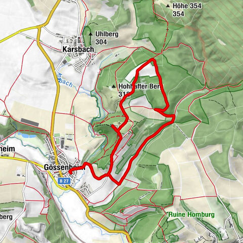 GÖSSENHEIM | Burgruine Homburg