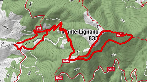 Monte Lignano from Località Sant'Andrea a Pigli