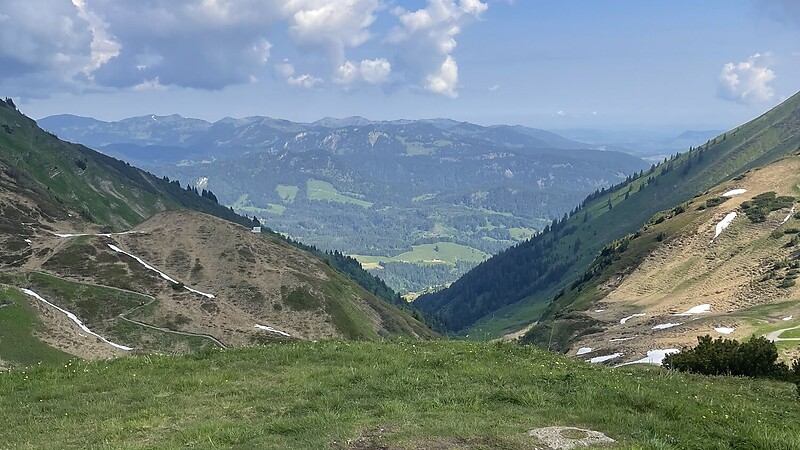 Térkép