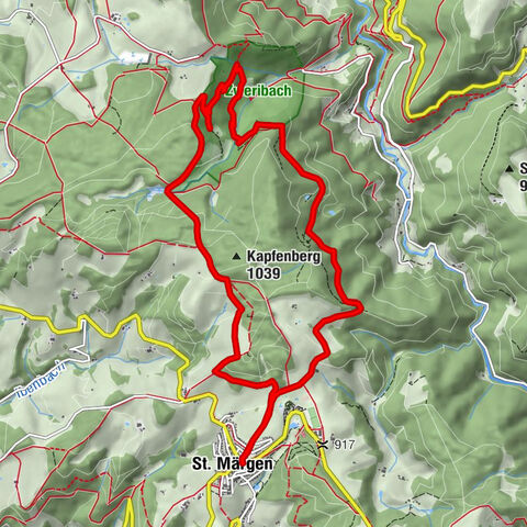 Through the mystical Bannwald forest to the Zweribach Waterfall