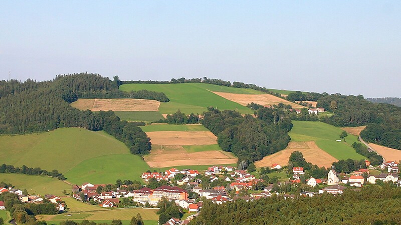 Térkép