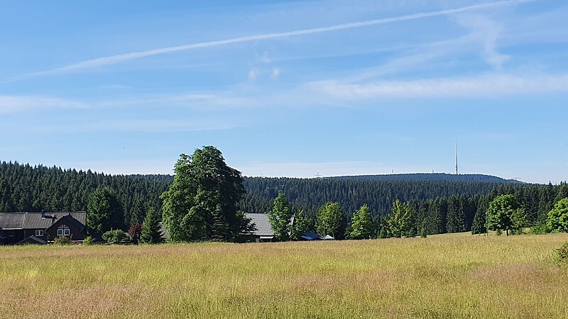 Térkép