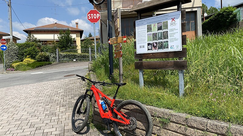 Térkép