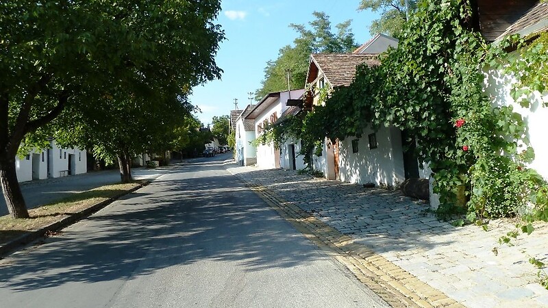 Térkép