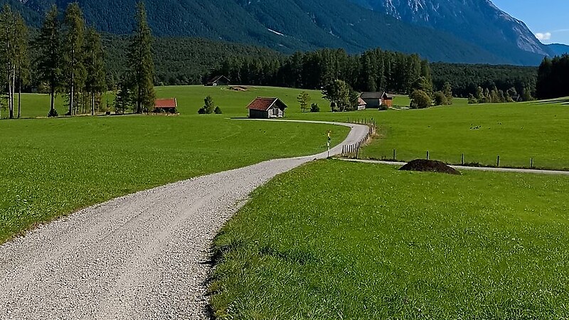 Térkép