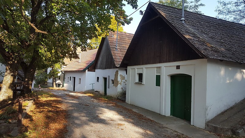 Térkép