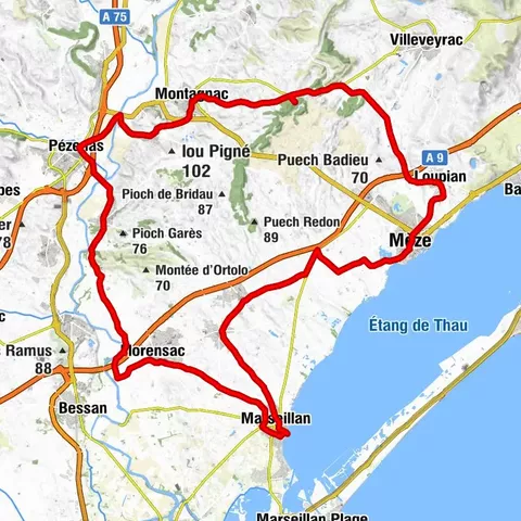 CYCLE LOOP No. 26 - THAU POND, ABBEY OF VALMAGNE AND PÉZENAS